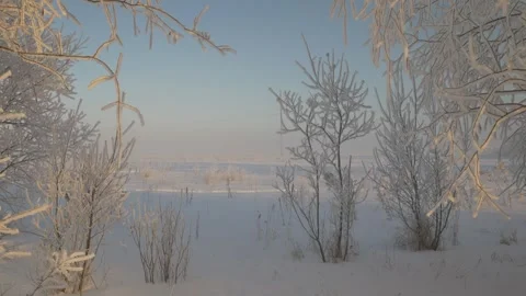 Snow-covered turf in the field Stock Footage 274890810