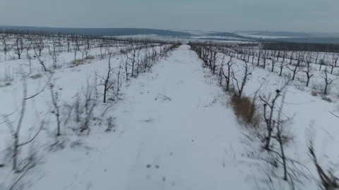 Snow-covered vineyard landscape with bare grapevines and a winding path leading Stock Footage 332723933