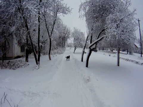 Snow covered walkway Stock Footage 102396395