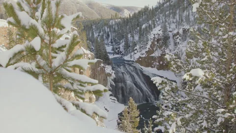 Snow-covered waterfall surrounded by towering pine trees in winter landscape Stock Footage 288501285