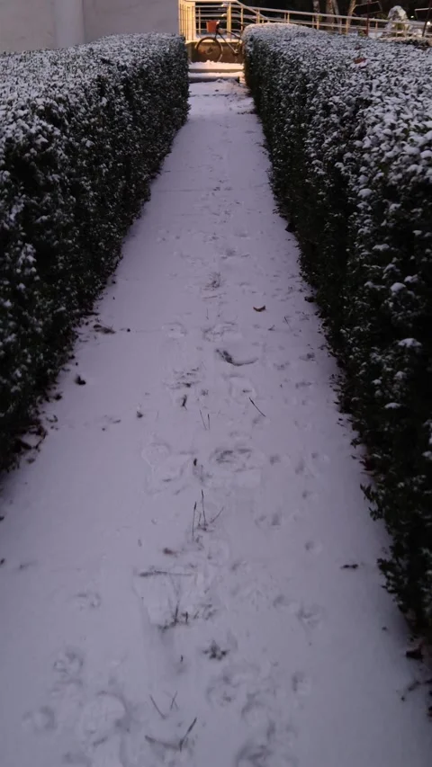 Snow-covered white path in the park Vídeo Stock 324992283