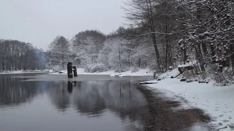 Snow-covered white trees reflected in the river Stock Footage 84111472