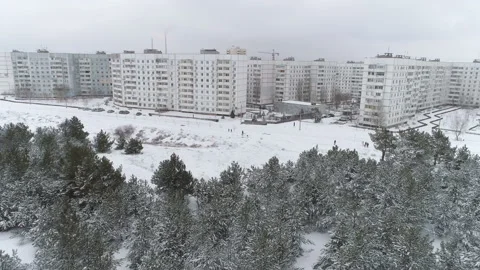 Snow covered Winter Forest And Buildings. Aerial View Stock-Footage 100993614