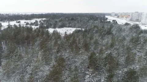 Snow covered Winter Forest And Buildings. Stock-Footage 100994238