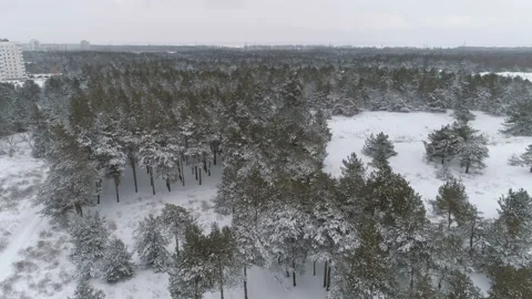 Snow covered Winter Forest And Buildings. 스톡 동영상 100994753