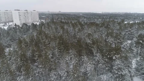 Snow covered Winter Forest And Buildings. Stock-Footage 100994860