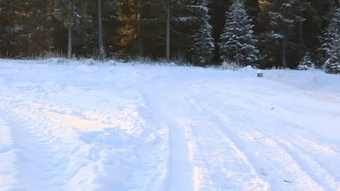 Snow-covered winter forest road Video stock 84777835