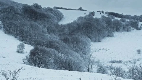 Snow covered winter forest under stormy snowfall Stock Footage 148483798