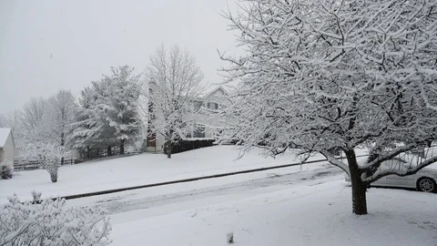 Snow-covered winter landscape with trees and house Stock Footage 105943164