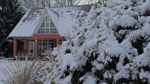 Snow-covered winter park Stock Footage 325074243