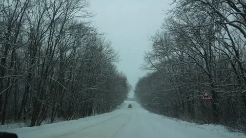 Snow-covered winter road. On both sides there are trees without leaves. Stock Footage 279538613