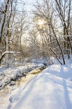 Snow covered winter trees Stock Photos