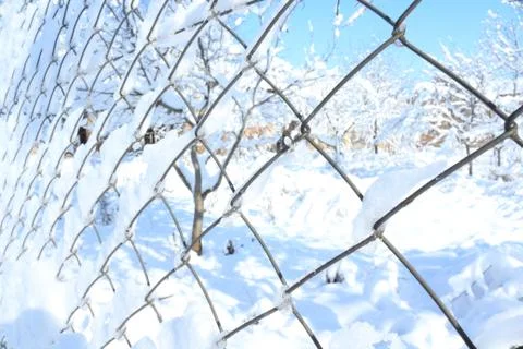 Snow covered wire Stockfoto's