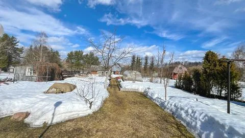 A snow covered yard with a path through it. The path is lined with trees and a Stock Photos