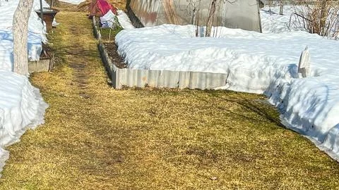 A snow covered yard with a path through it. The path is lined with trees and a Stock Photos