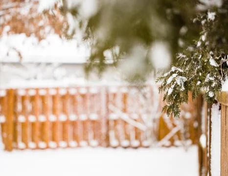 Snow covered yard Stock Photos
