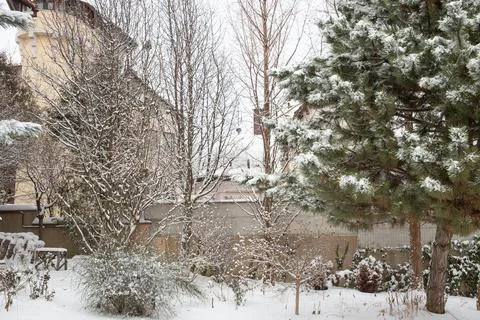 Snow covered yard. Stock Photos
