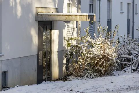 Snow-Covered Yard with Trees on Winter Day Photos