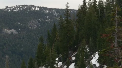 Snow covering mountain forest landscape in Eldorado National Forest, USA Vídeo Stock 334242530