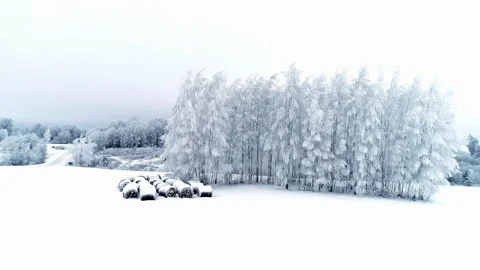 Snow covers a farm field with rolls of hay and clings to the limbs and 動画素材 204020440