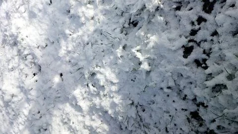 Snow covers green grass in spring, creating a unique landscape during the c.. Stock Photos