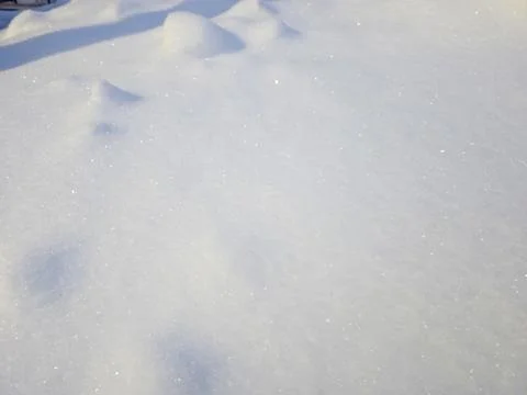 Snow Covers the Ground Creating a Soft White Texture in the Winter Landscap.. Stock Photos