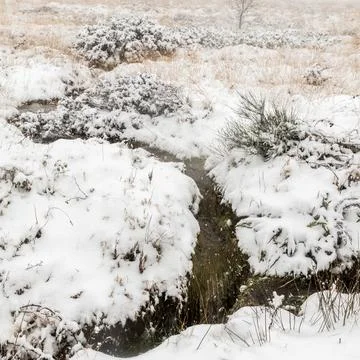 Snow covers the landscape Stock Photos