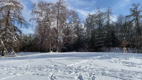 Snow Covers a Park With Trees and Footsteps in the Ground on a Clear Day in Stock Footage 327909066
