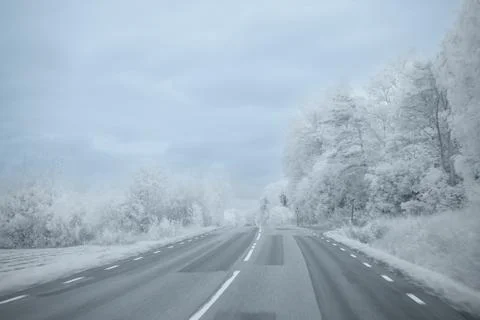 Snow covers the road with trees on each side, creating a winter scene in a .. Stock Photos