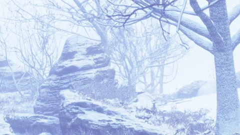Snow covers rocks and trees in a winter landscape during daylight hours Stock Footage 340016953