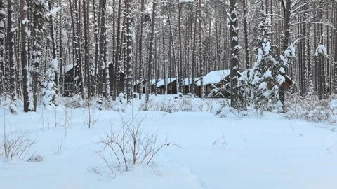 Snow covers rustic cabins in a forest during winter in a remote area Stock Footage 327102607