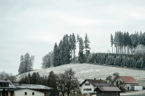 Snow covers trees and fields near houses in a rural area during winter in t.. Stock Photos