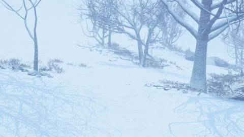 Snow covers trees and ground in a winter forest scene during daytime Stock Footage 339461449