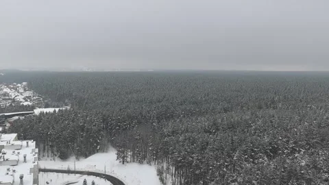 Snow covers a vast forest in winter time showing tall trees and a gray sky near  Stock Footage 327672547