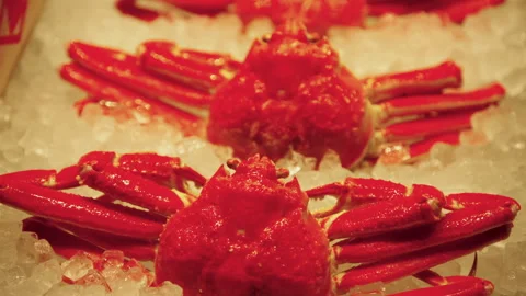 Snow crab with bright red shells on ice in a Japanese fish market Video stock 130383878