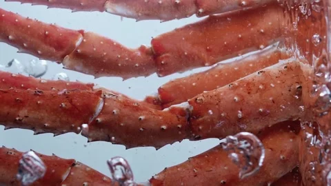 Snow crab limbs are cooked in boiling water for a tasty delicacy. Vertical video 動画素材 273076735