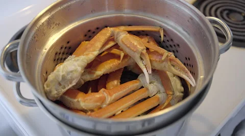 Snow Crab in pot. 4K UHD. Stock Footage 49978350