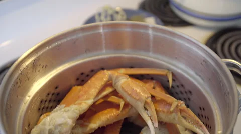Snow Crab in pot. 4K UHD. Stock Footage 49982058