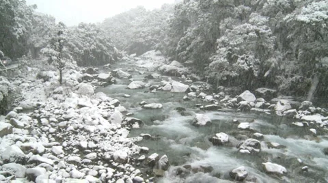 Snow creek Stock Footage 1258802