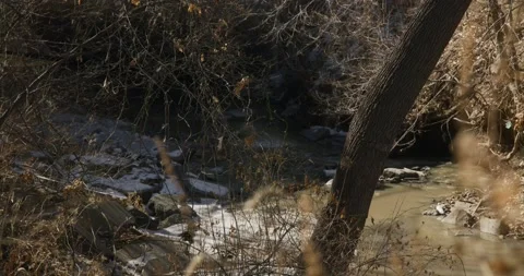 Snow In Creek Video stock 234148878