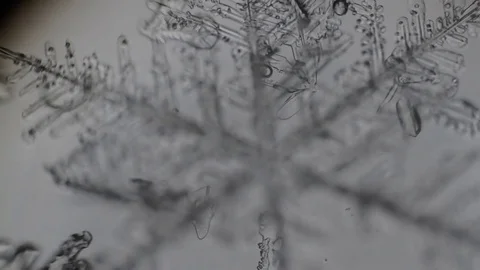 Snow crystal shimmers Stock Footage 72784883