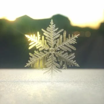 Snow Crystal / Snowflake Stock Illustration
