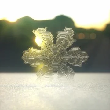 Snow Crystal / Snowflake Stock-Illustration