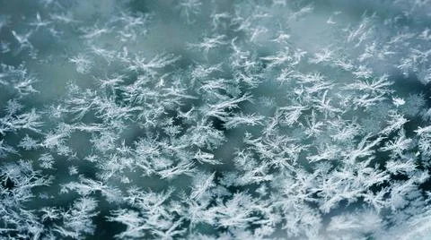 Snow crystal in winter Stock Photos