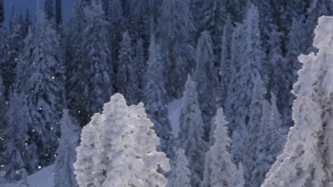 Snow Crystals 03 動画素材 262013322