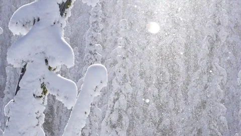 Snow Crystals 06 動画素材 262013784