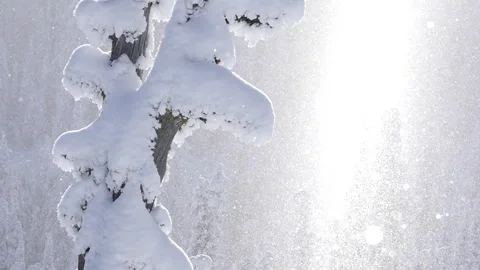 Snow Crystals 07 動画素材 262013765