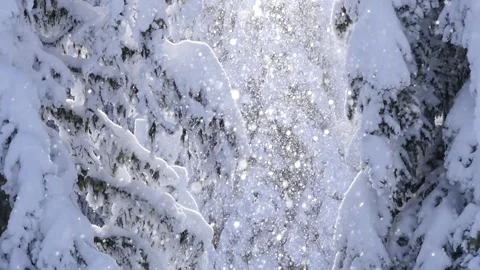 Snow Crystals 09 動画素材 262013803