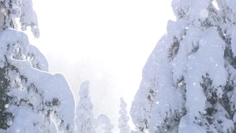 Snow Crystals 10 動画素材 262013810