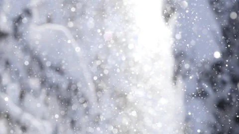 Snow Crystals 17 動画素材 262014185